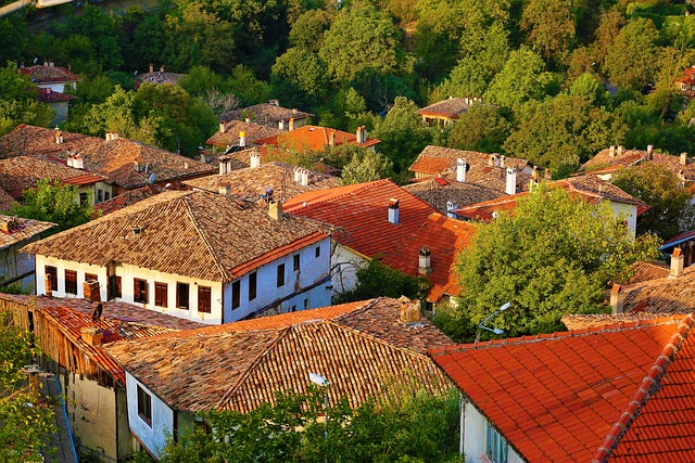 Signs Your Roof Needs Repair: Don't Ignore These Warning Signs